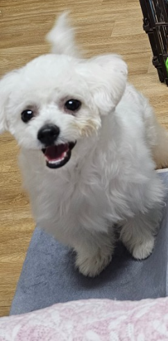 박*남님 후기