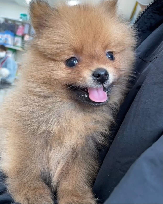 민*영님 후기