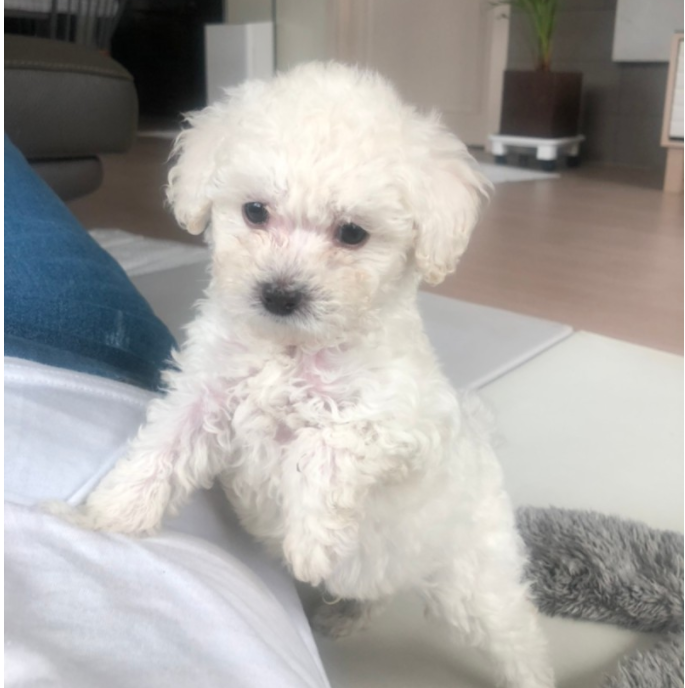 오*아님 후기