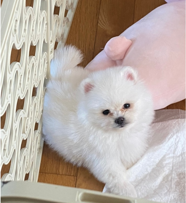 이*선님 후기