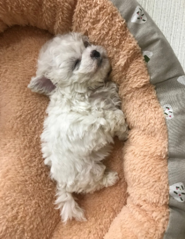 김*정님 후기