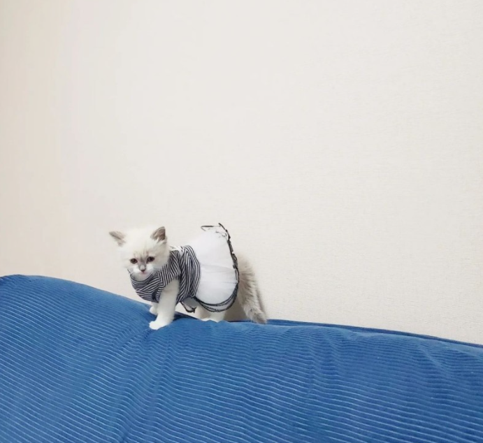 정*채님 후기