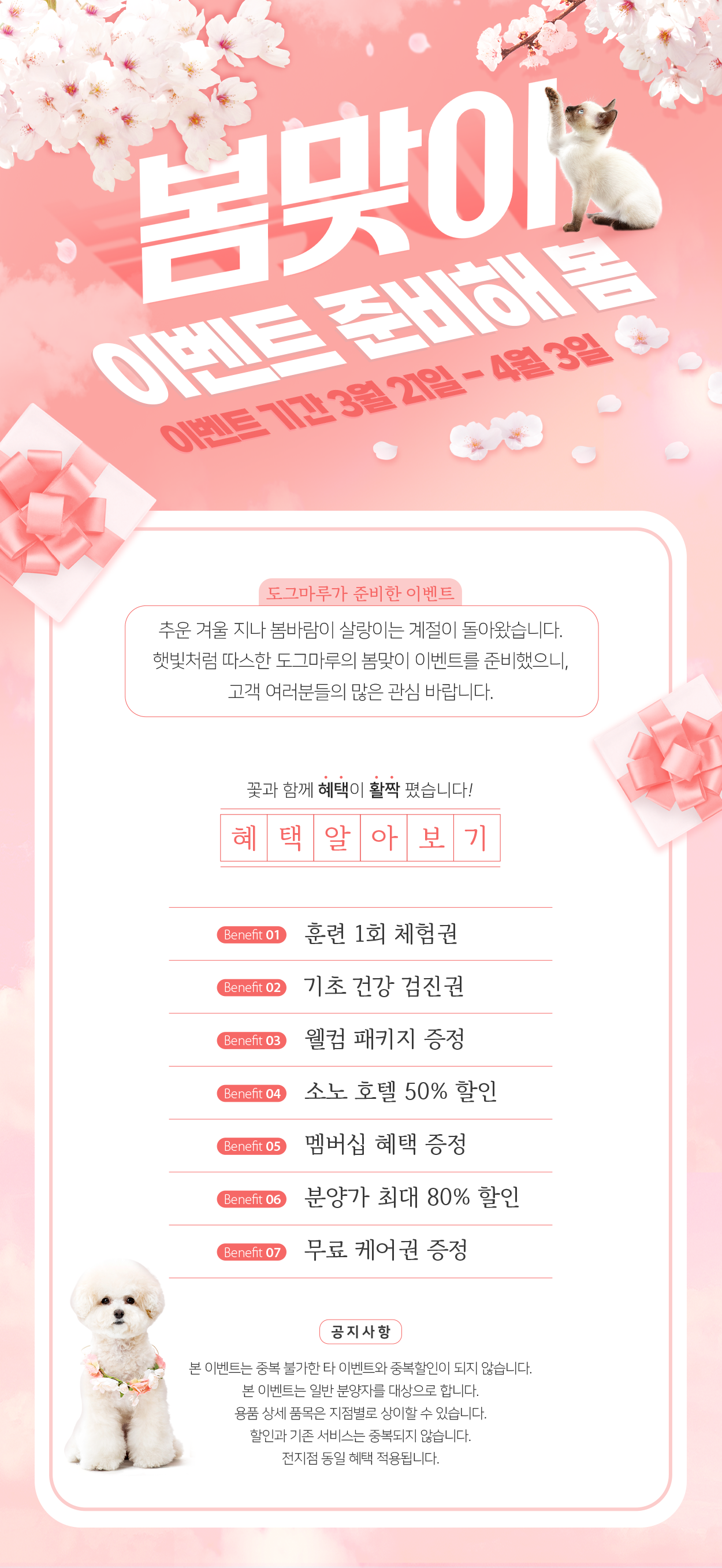 ★ 도그마루 봄맞이 이벤트 ★