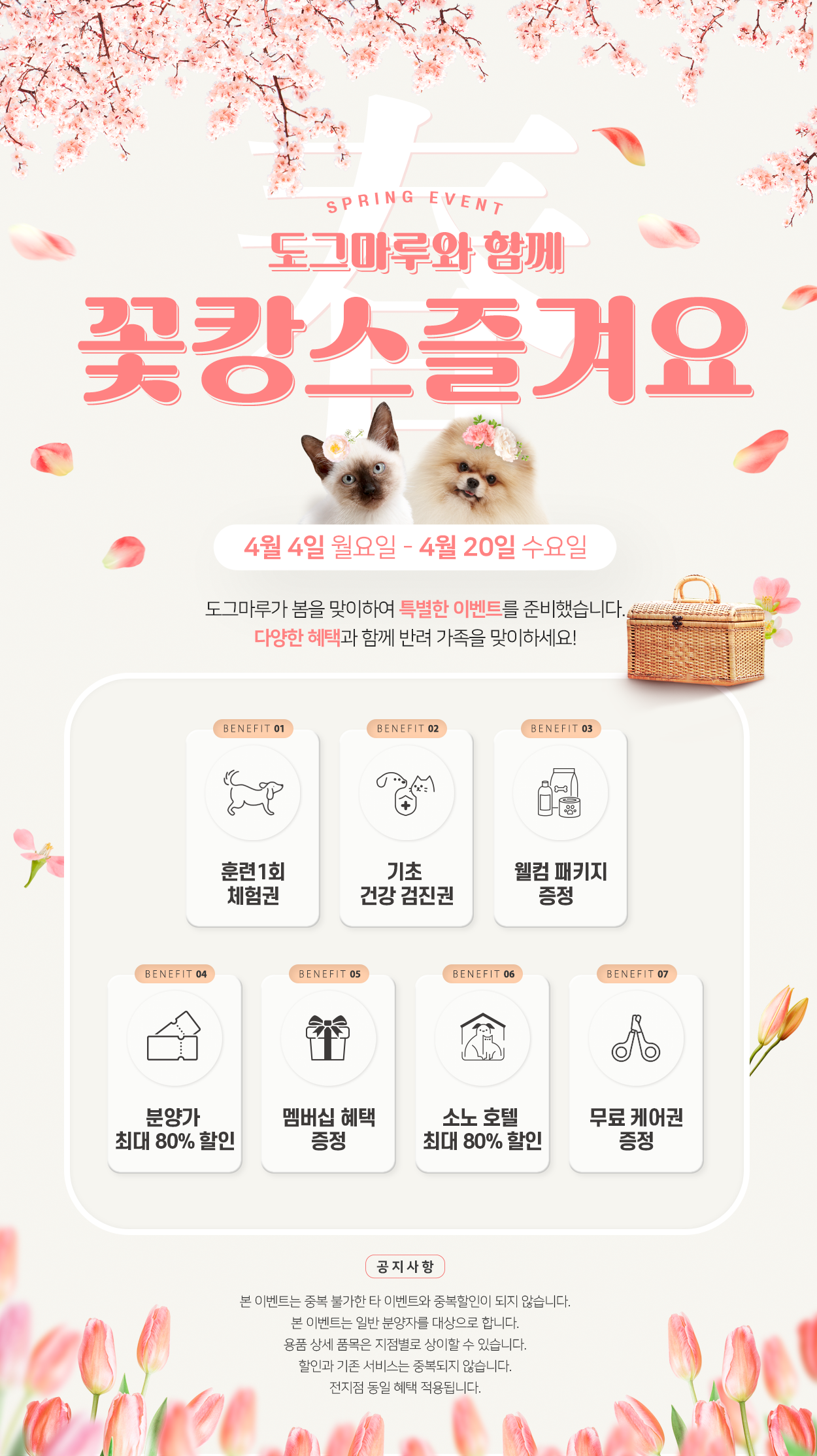 ★ 도그마루 꽃캉스 이벤트 ★