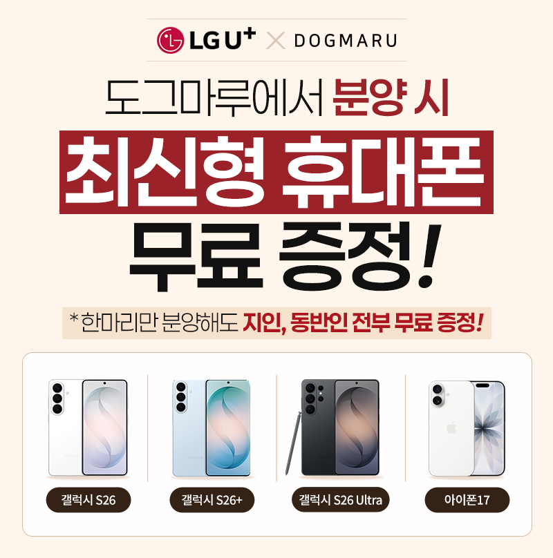 도그마루 X LG U+ 최신형 휴대폰 무료 증정!