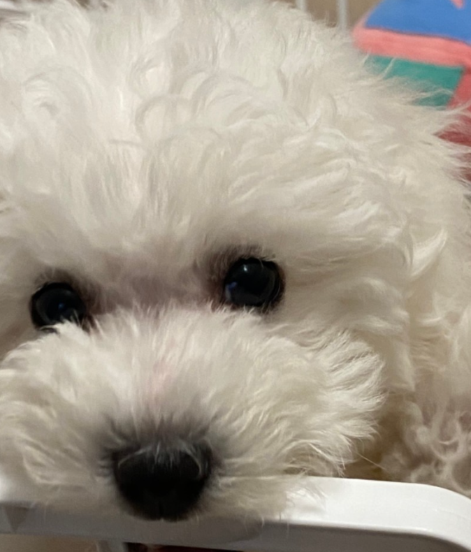 강*리님 후기