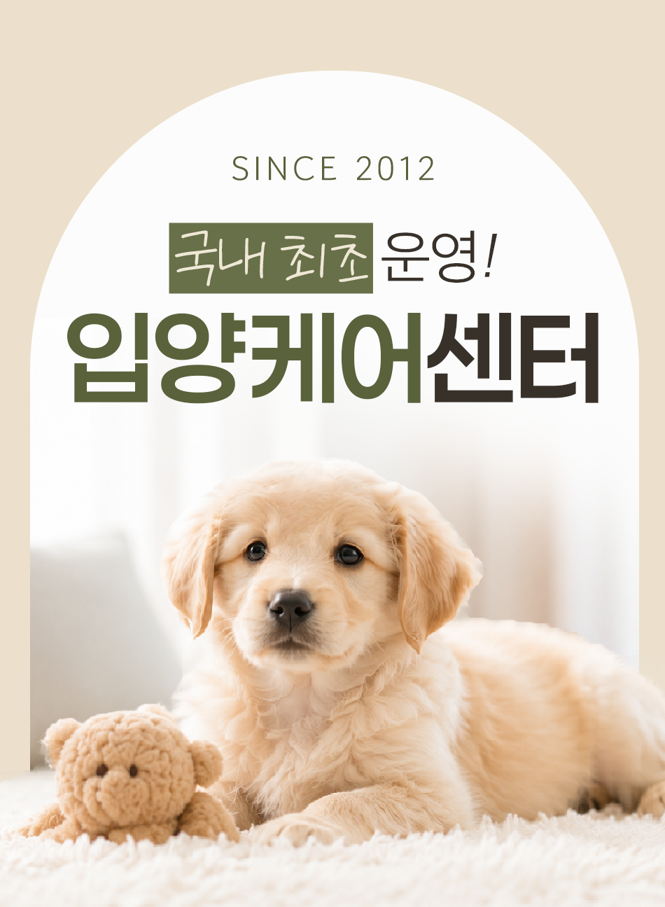 안심입양센터