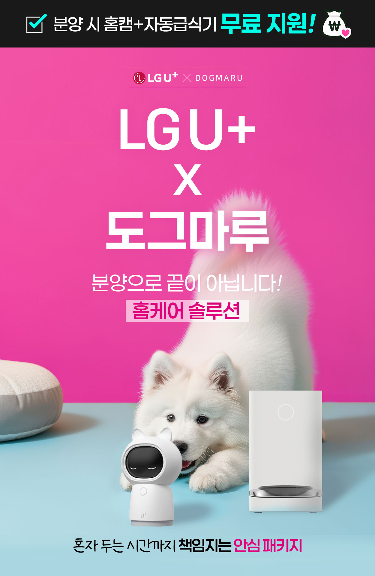 기업제휴