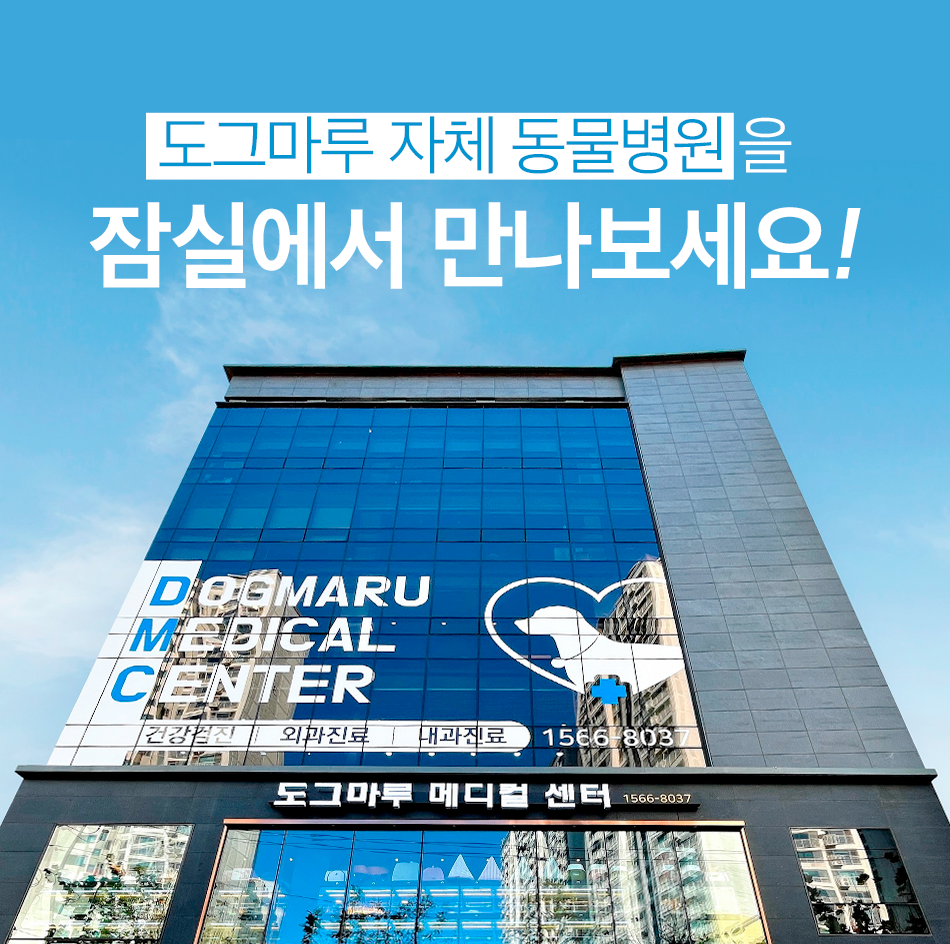 메디컬센터