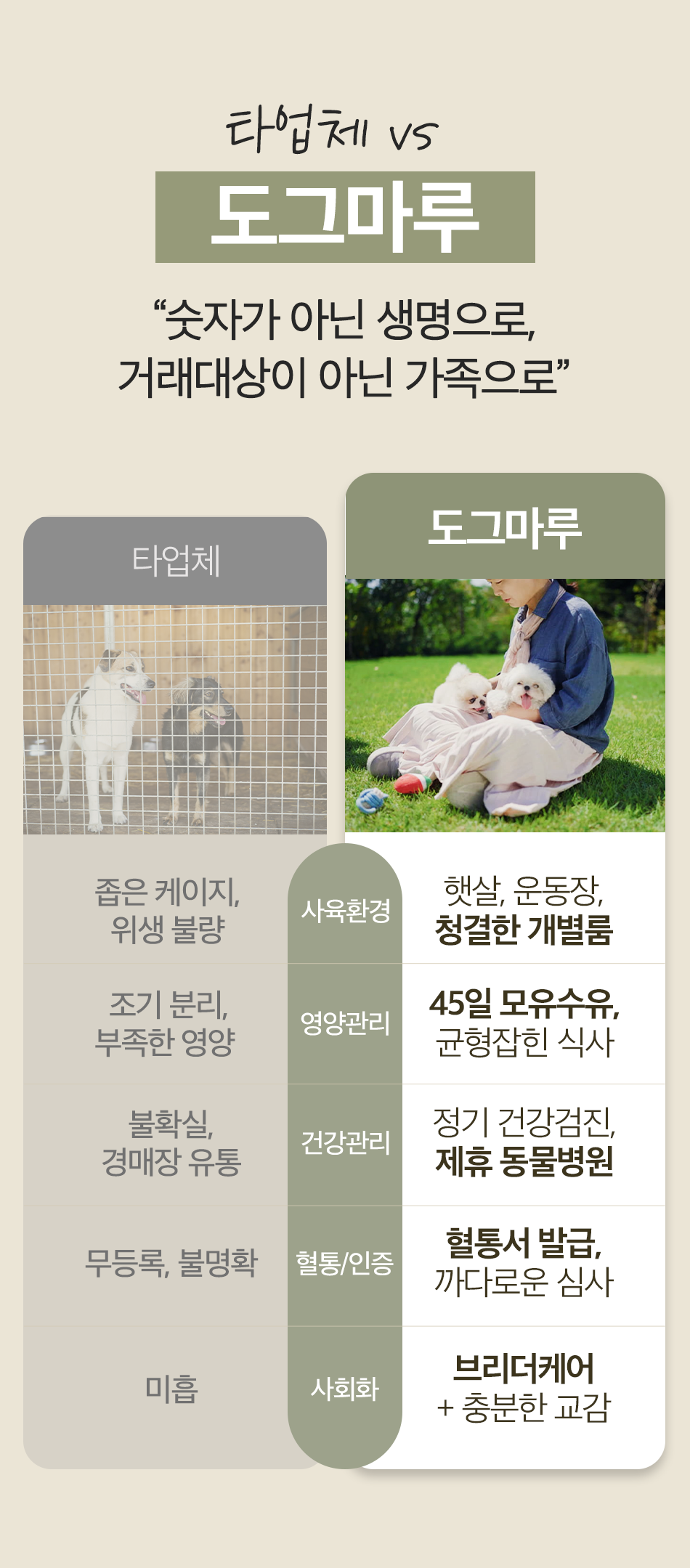 어디서오나요