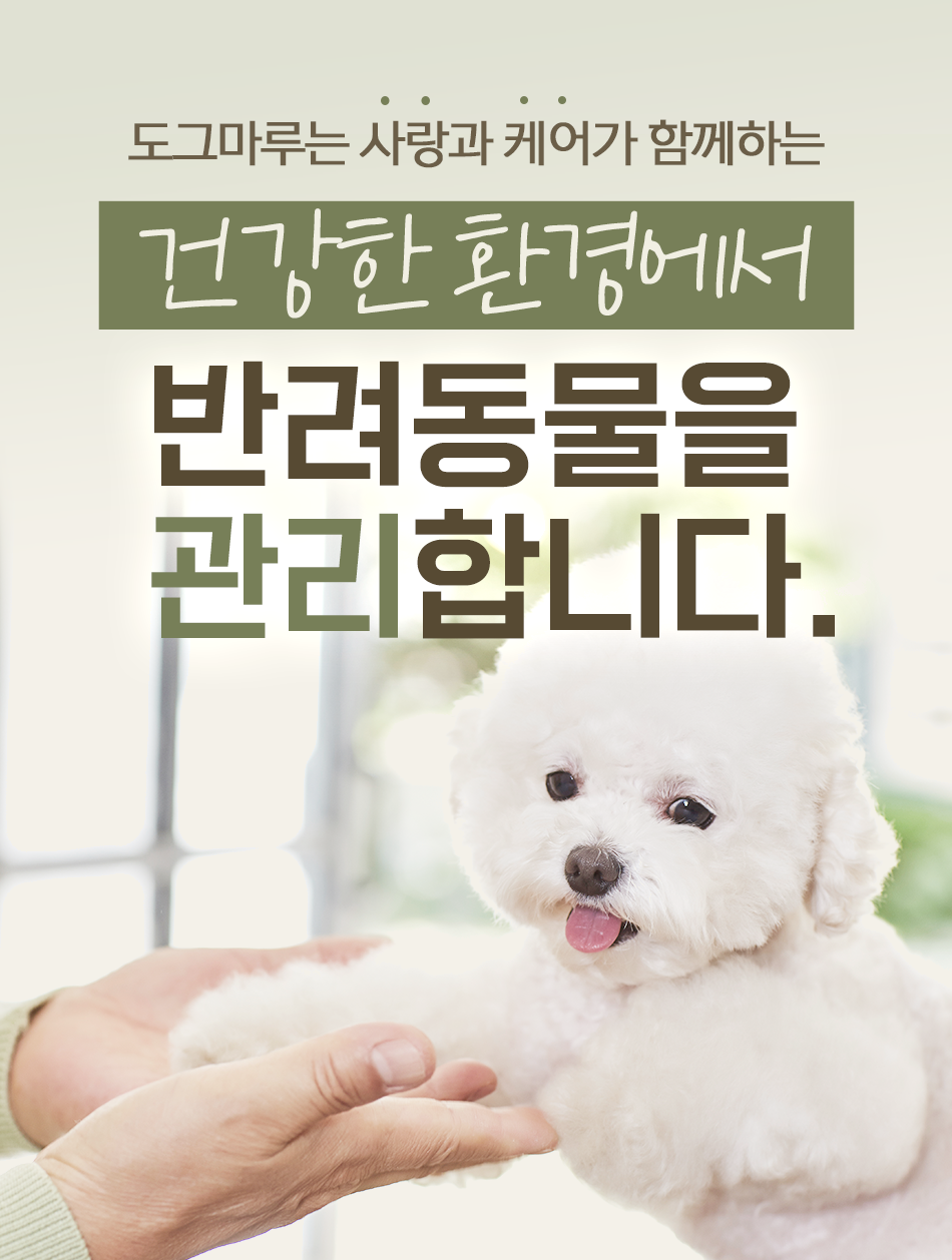 어디서오나요
