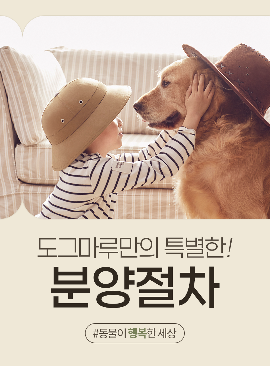 분양절차