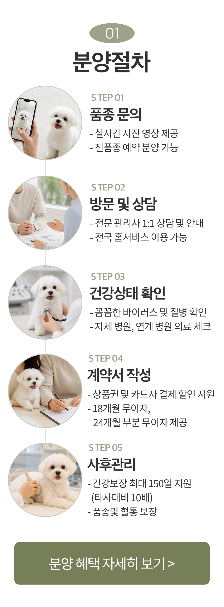 분양절차