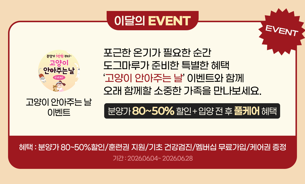 할인혜택