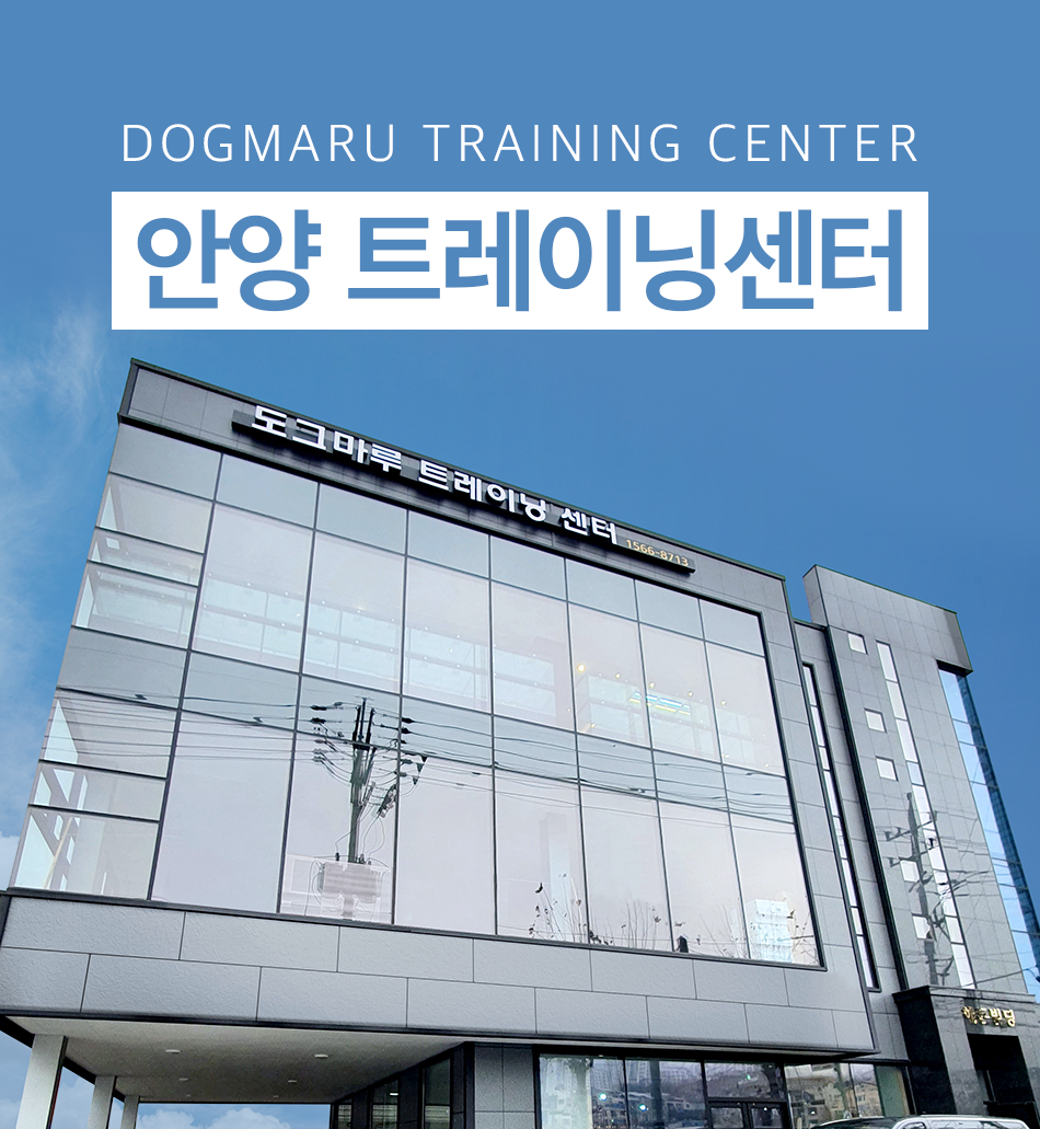 트레이닝센터