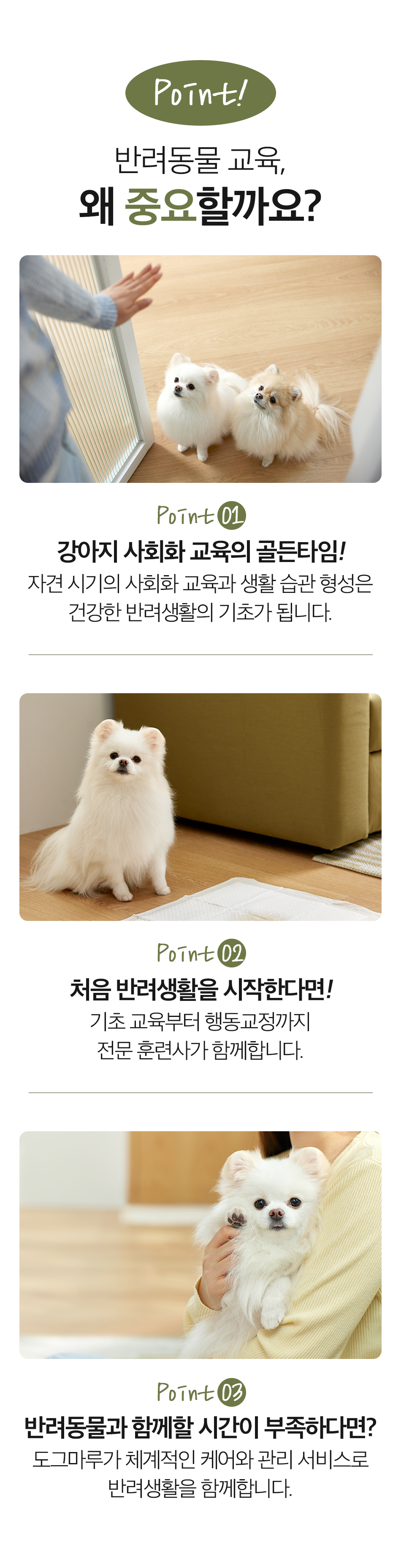 트레이닝센터