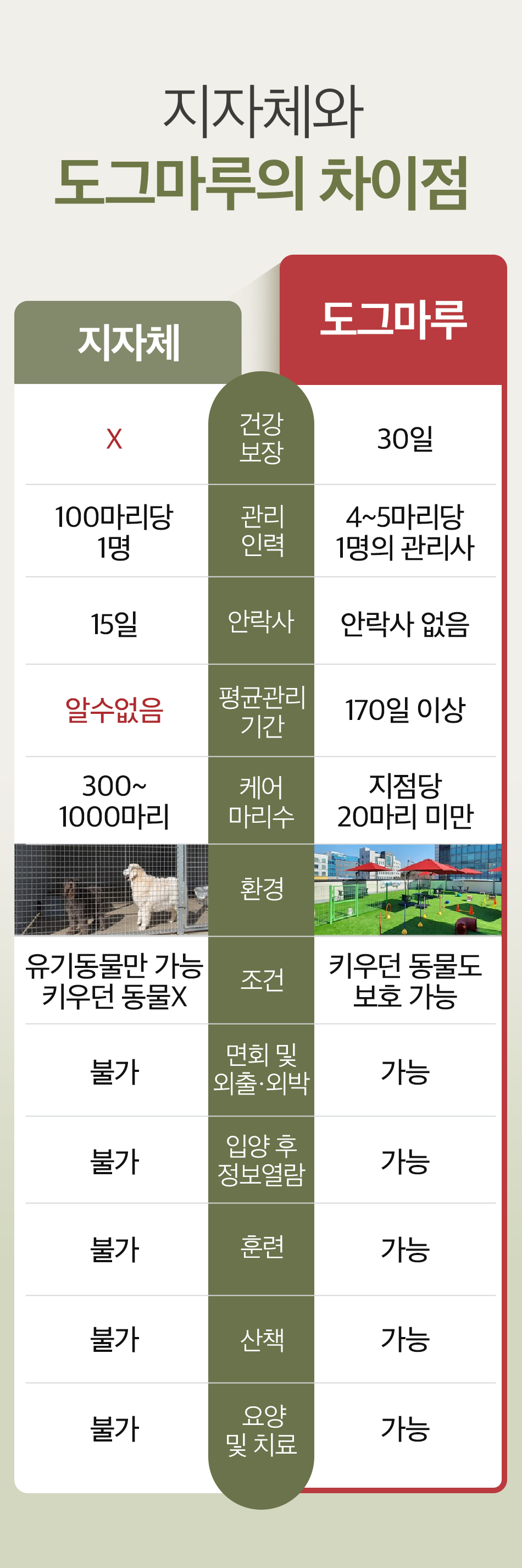 도그마루선택이유