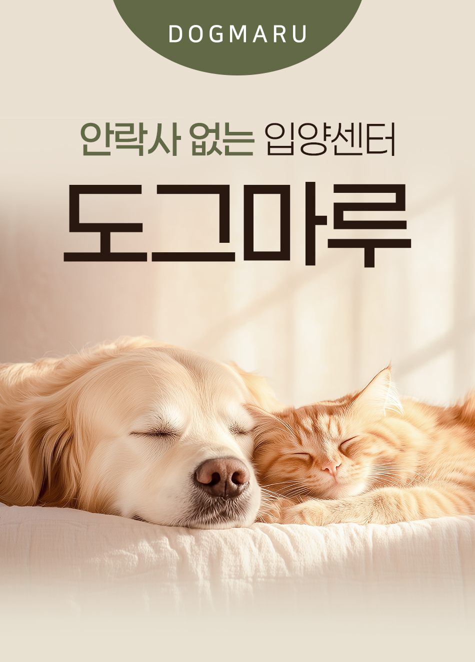 도그마루선택이유