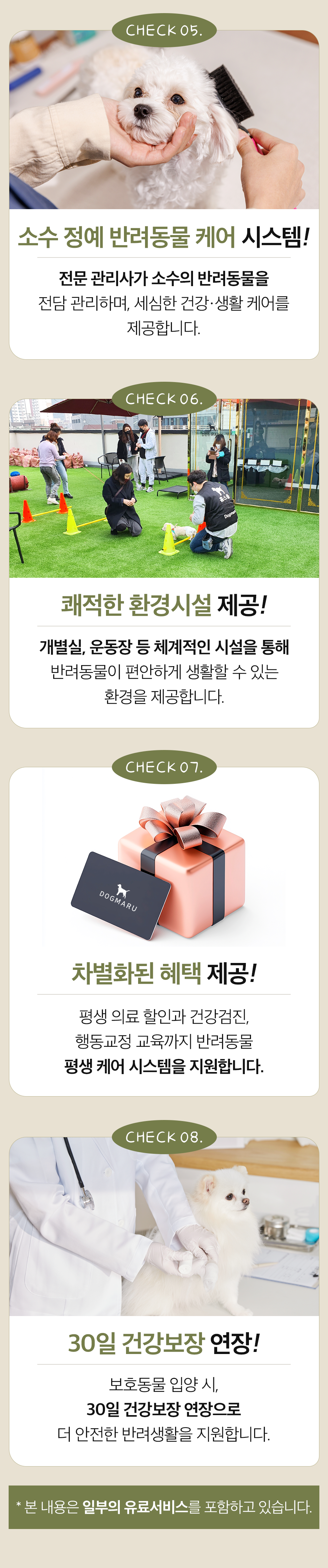 도그마루선택이유