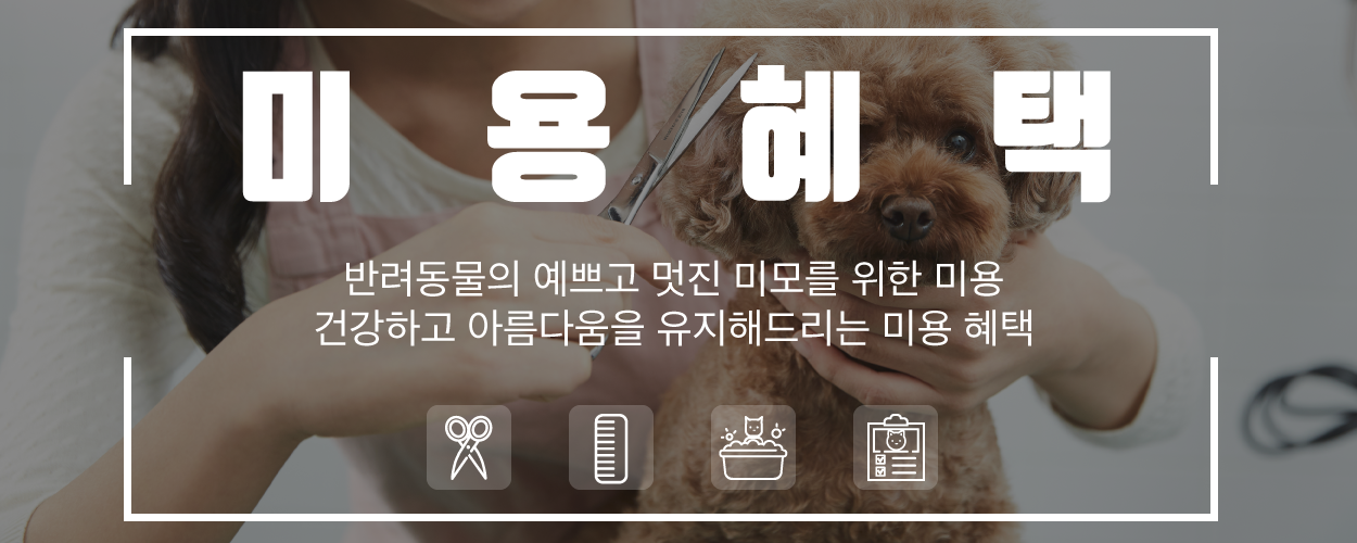 제휴등록